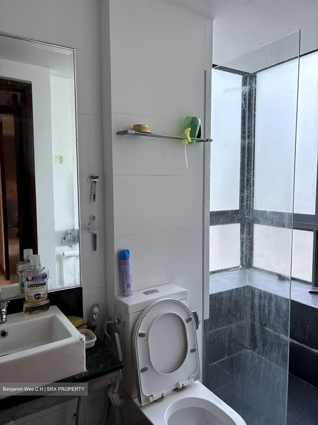Cadence Light (D15), Apartment #577757511